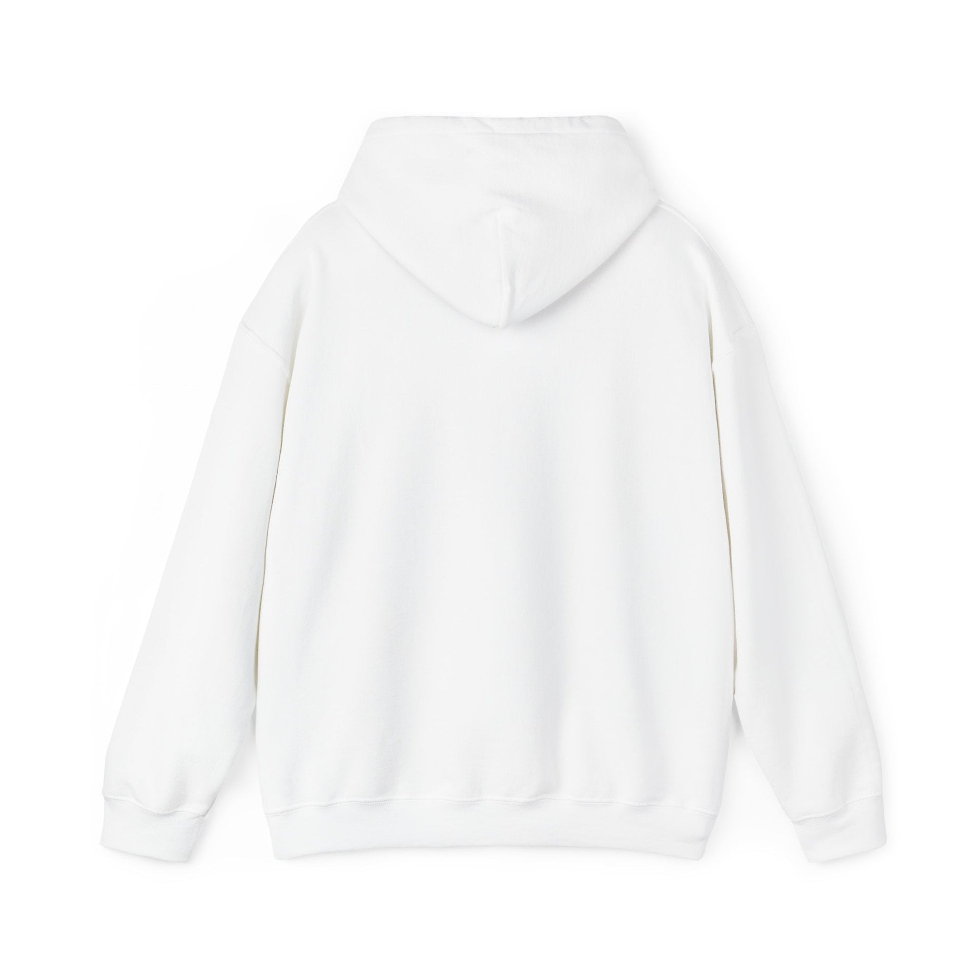 Responsible & Reckless Unisex Hoodie Funny Sweatshirt - Adulting Degenerate LLC