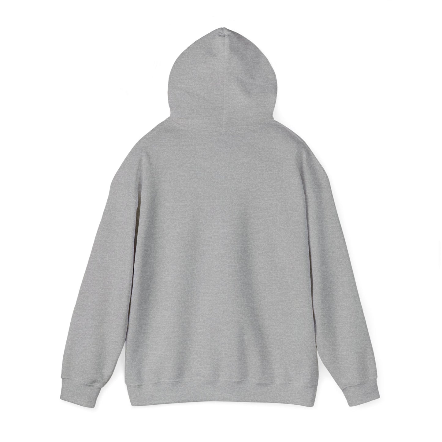 Responsible & Reckless Unisex Hoodie Funny Sweatshirt - Adulting Degenerate LLC